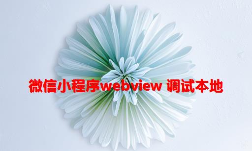 微信小程序webview 调试本地